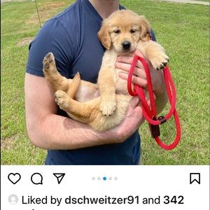 Meet your Posher, Regina